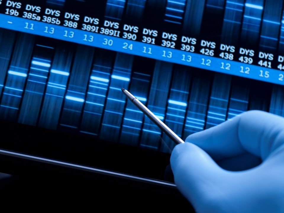 DNA test